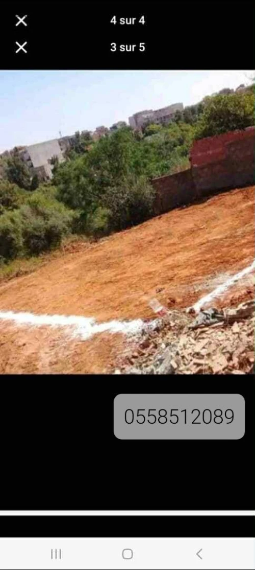 Vente Terrain Alger Saoula