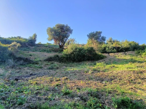 Vente Terrain Béjaïa Bejaia