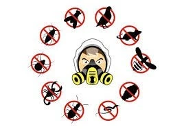 Pest control service