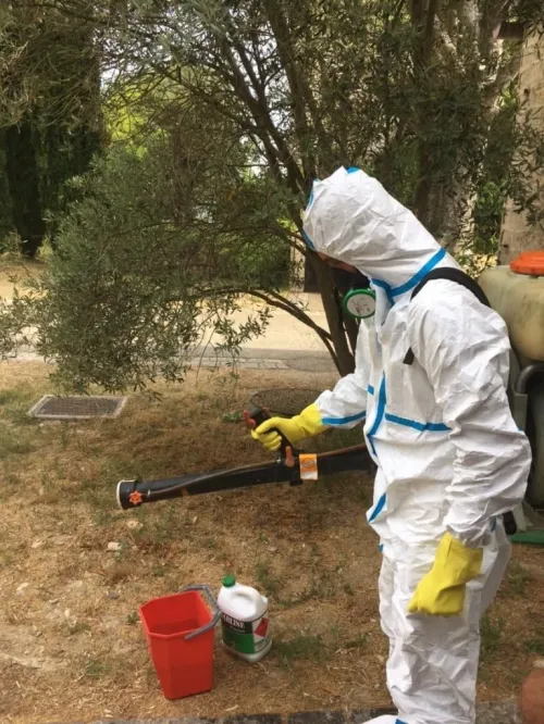 Pest control service