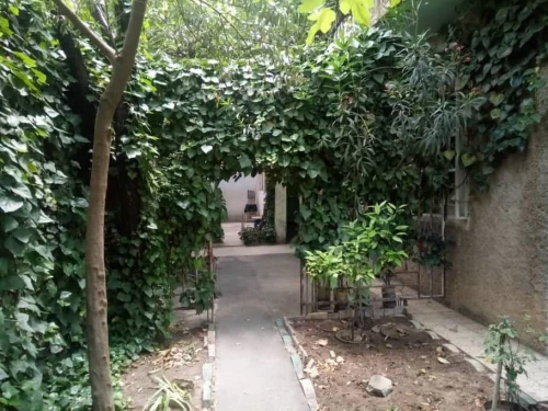 Vente Villa Tébessa Tebessa
