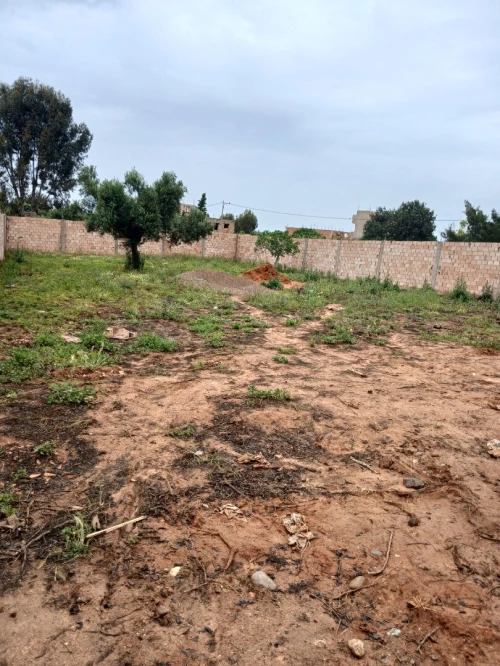 Vente Terrain Mostaganem Achaacha