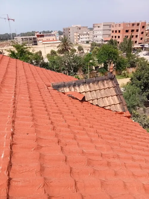 Travaux étanchéité prefissionel 