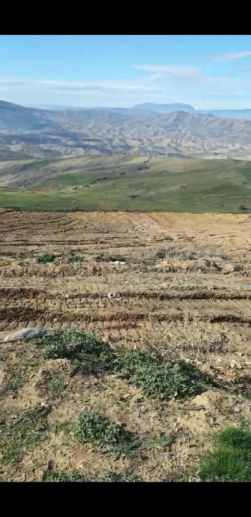 Vente Terrain Médéa Draa essamar