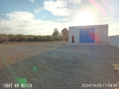 Location Hangar - Usine Oran Tafraoui
