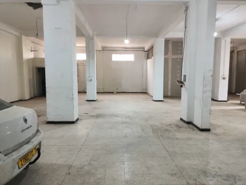 Location Hangar Alger Les eucalyptus
