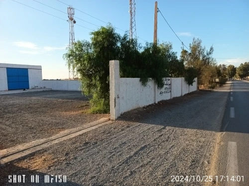 Location Hangar - Usine Oran Tafraoui