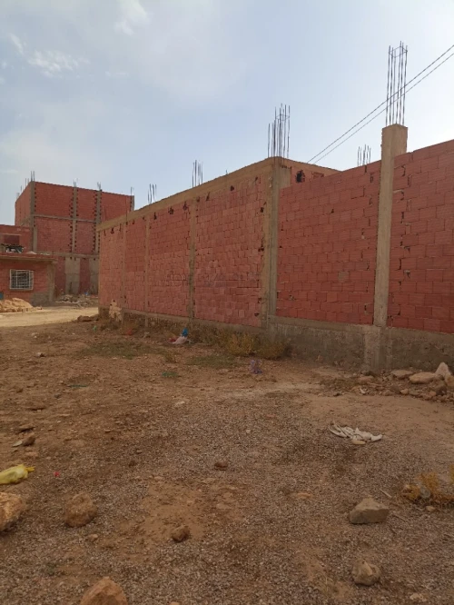 Vente Carcasse Saïda Saida
