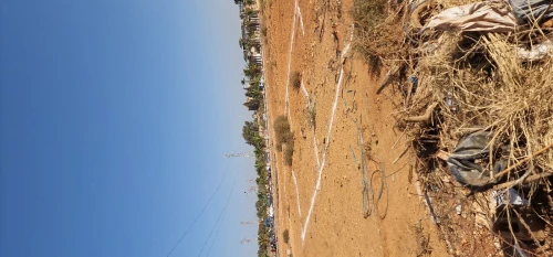 Vente Terrain Oran Bethioua
