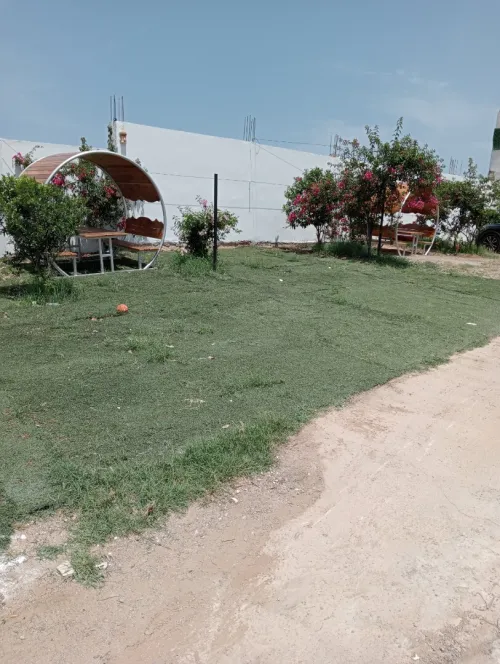 Location vacances Bungalow F1 F2 F3 Mostaganem Sidi lakhdaara