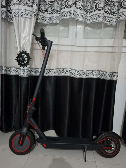Trottinettes électriques lenzod pro