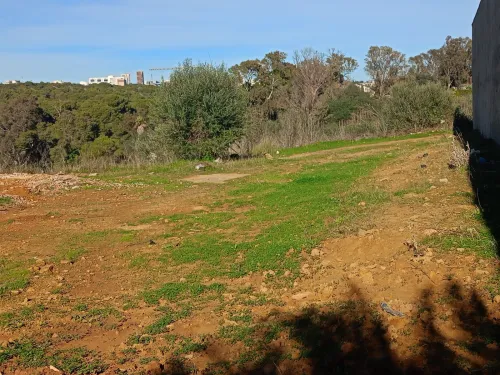 Vente Terrain Alger El achour