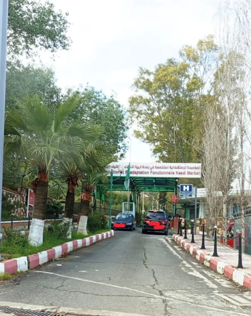 Vente Terrain Alger Draria