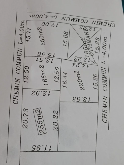 Vente Terrain Alger Saoula 2