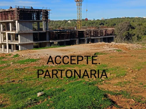 Vente Terrain Alger Tessala el merdja