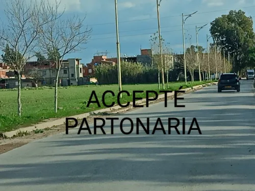 Vente Terrain Alger Tessala el merdja