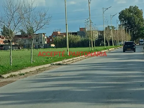 Vente Terrain Alger Tessala el merdja