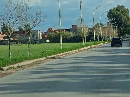 Vente Terrain Alger Tessala el merdja