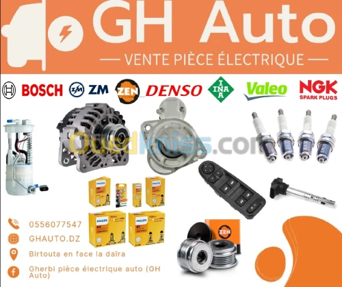 Vente pièce électrique auto démarreur alternateur régulateur induit bougie lampe résistance 