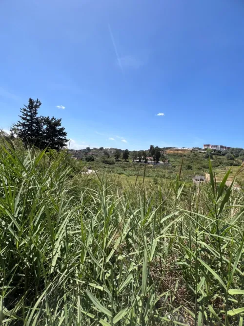 Vente Terrain Alger Birkhadem