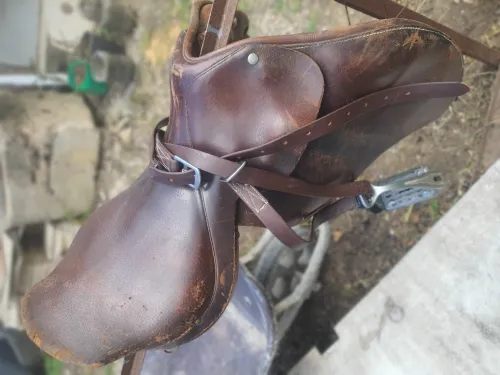 Selle de dressage 