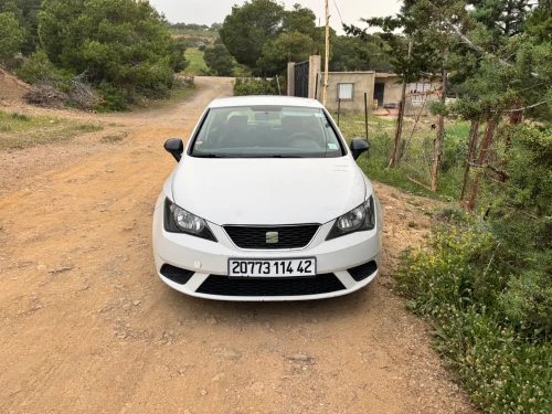 Seat Ibiza 2014 Fully