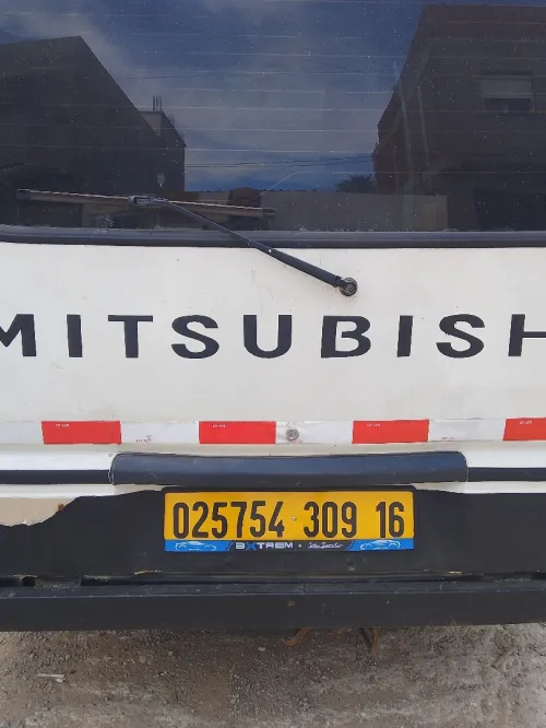 Mitsubishi L300 2009