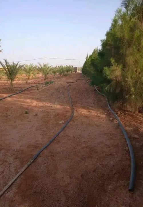 Vente Terrain Agricole Béchar Lahmar