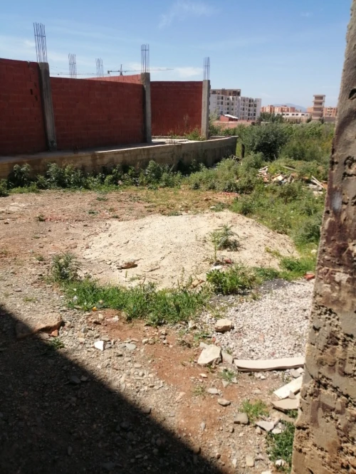 Vente Terrain Blida Bouarfa