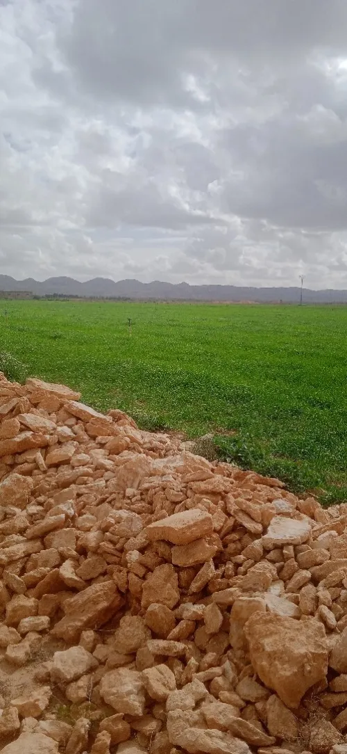 Location Terrain Agricole Djelfa Ain oussara