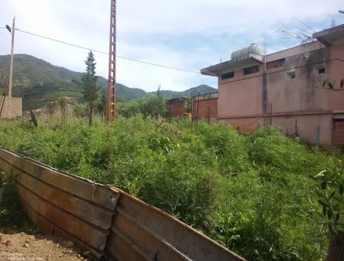 Vente Terrain Jijel Kaous