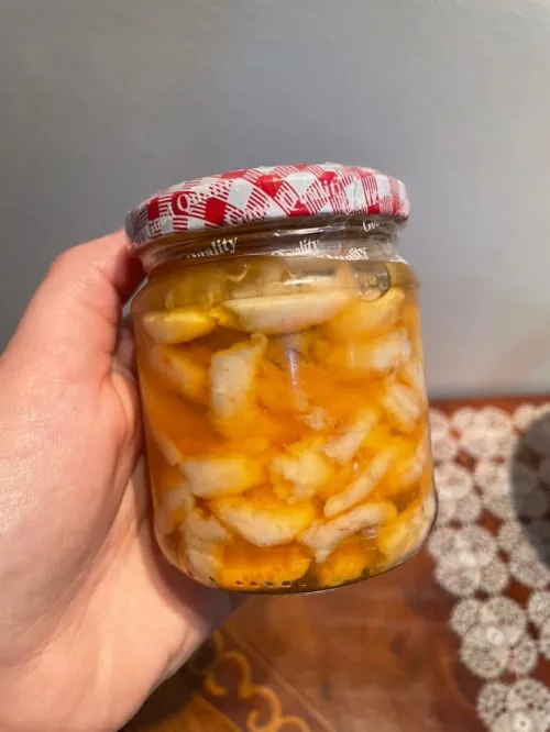 Conserves fruits de mer BIO- Anchois marinées- Poulpes - crevettes - Thon - SANS CONSERVATEURS