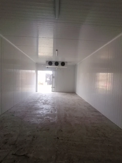 Location Hangar - Usine Mostaganem Ain sidi cherif