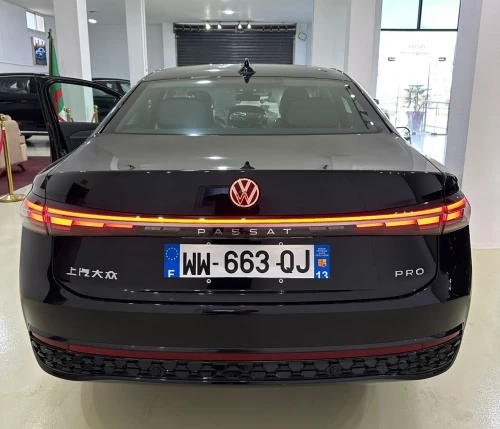 Volkswagen Passt Pro 2025 