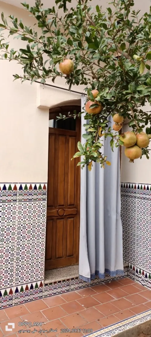 Vente Villa Sidi Bel Abbès Lamtar