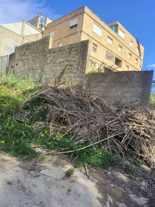 Vente Terrain Alger El achour