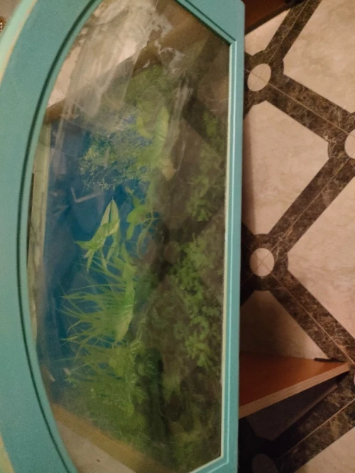 aquarium +moteur+filtre