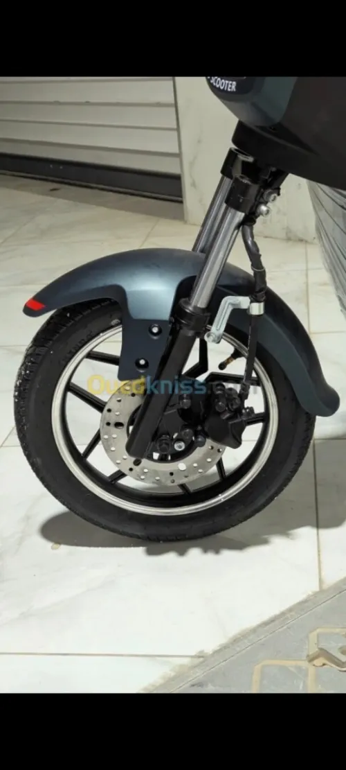 Niu Gmax 2025