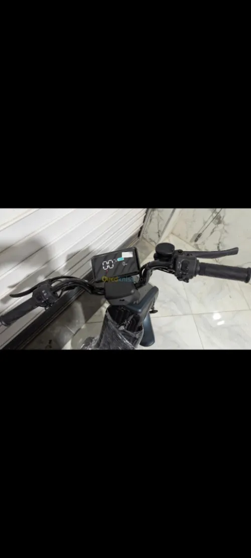 Niu Gmax 2025