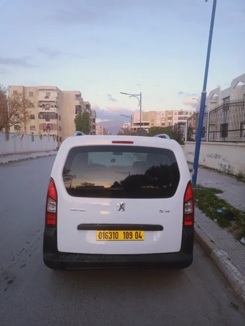 Peugeot Partner 2009 Tepee