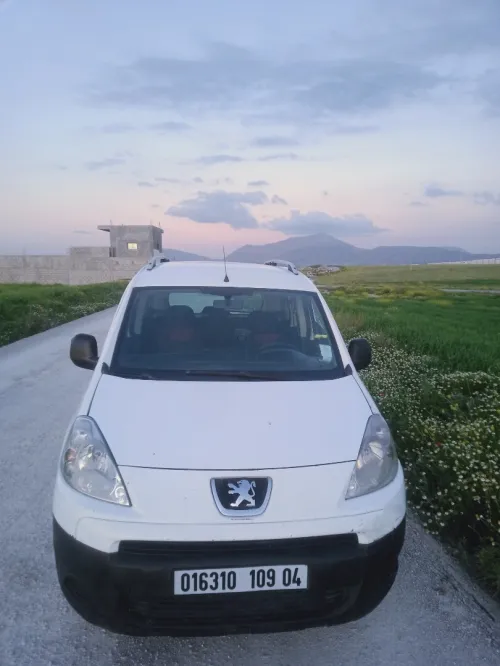 Peugeot Partner 2009 Tepee