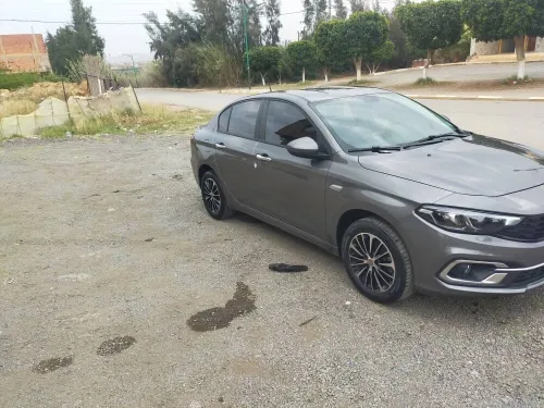 Fiat Tipo 2024 Tipo