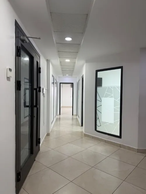 Location bien immobilier Alger El mouradia