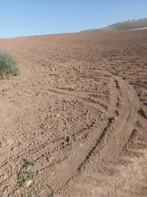 Vente Terrain Agricole Tlemcen Bensekrane 3
