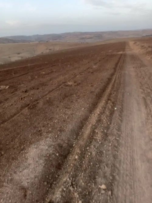 Vente Terrain Agricole Tlemcen Bensekrane