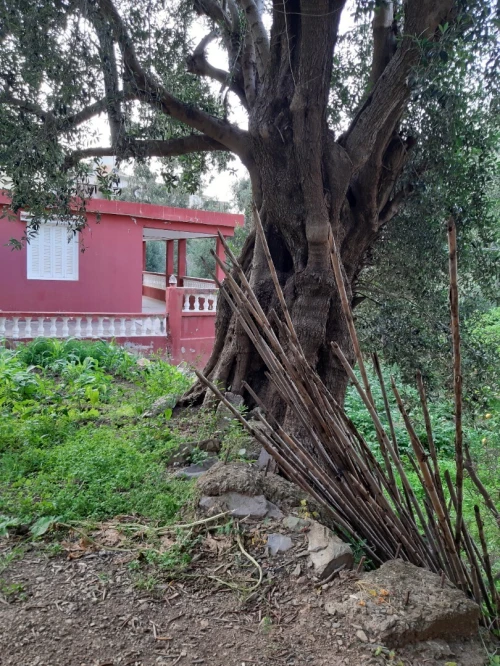 Vente Villa Béjaïa Souk el thenine