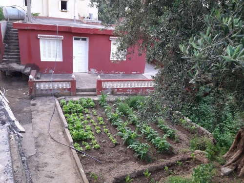 Vente Terrain Béjaïa Souk el thenine