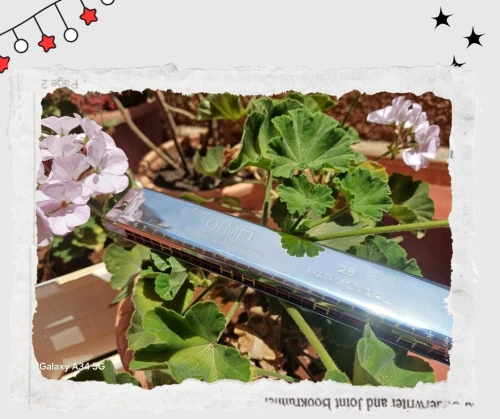 Harmonica qmei 26