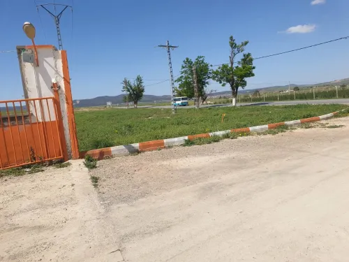 Vente bien immobilier Sidi Bel Abbès Telagh