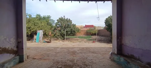 Location bien immobilier Aïn Témouchent Hassi el ghella